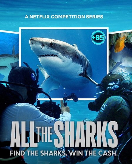 مسلسل All the Sharks الموسم الاول الحلقة 6 والاخيرة مترجمة